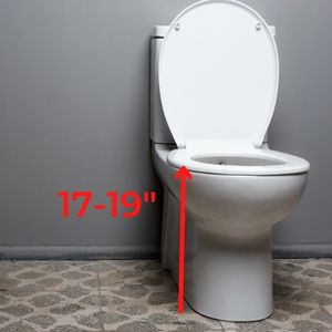 ada toilet bowl height