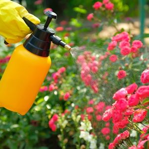 spray bottle for misting plants